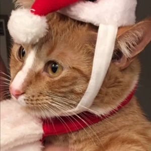 Meet your Posher, Matthew